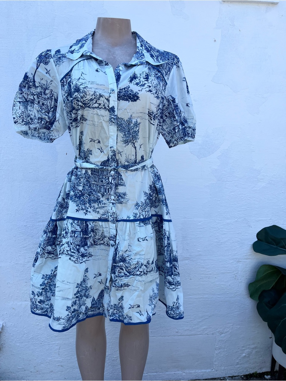 Umgee Blue and White Toile Button-Front Mini Dress